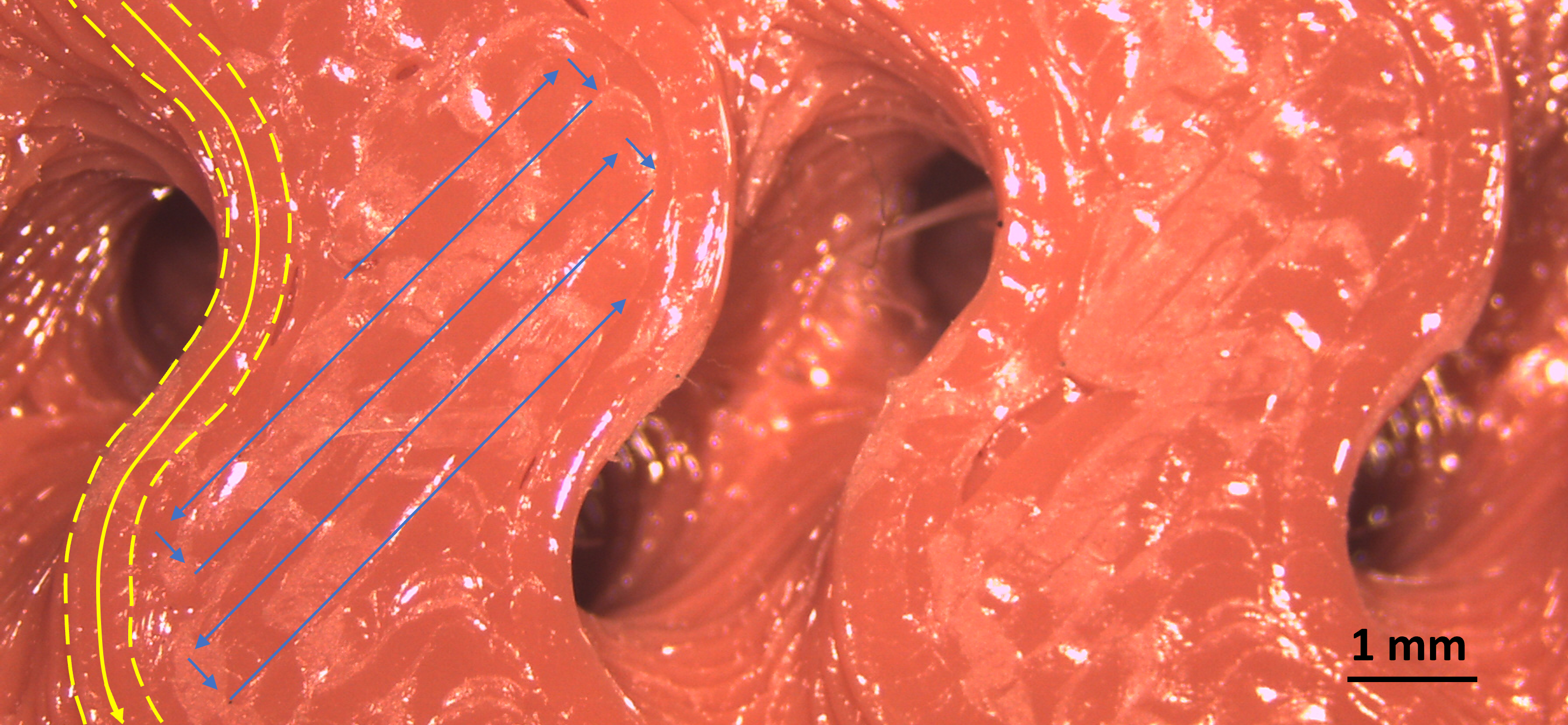 Impresión 3D bajo lupa